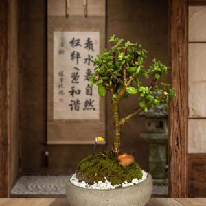 Bonsai de la felicidad