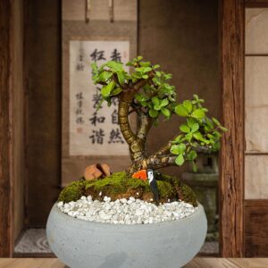 Mini jade