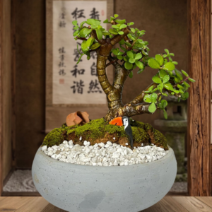 Mini jade